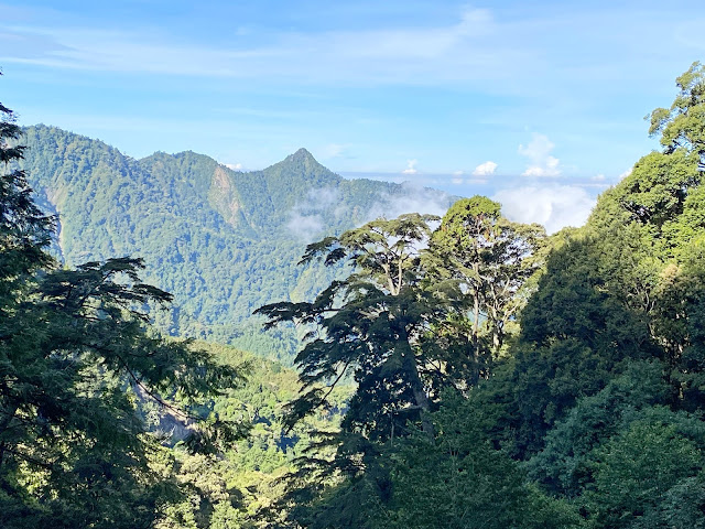 船型山林道--展望鳶嘴山