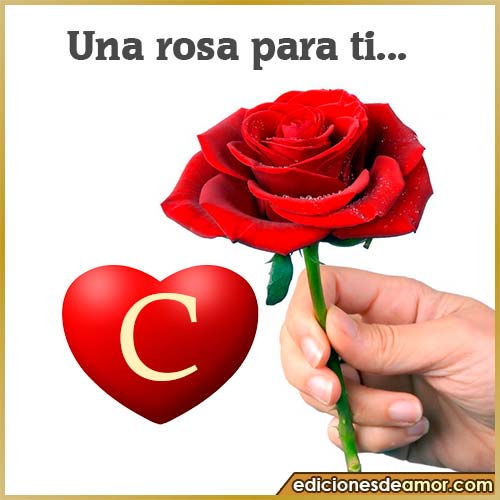 una rosa para ti C