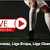 Live Streaming Bola