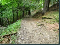 DSCN0172