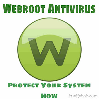 Protect your computer system now with Webroot Antivirus Software