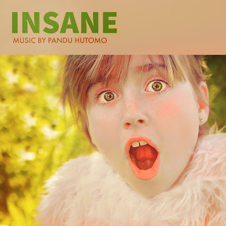 MP3 download Pandu Hutomo - Insane - Single iTunes plus aac m4a mp3