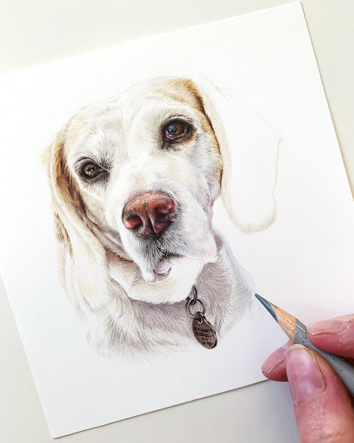 Cute Dogs Drawings Easy