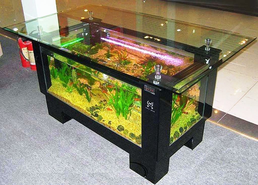  35 contoh model dan harga meja  tamu  aquarium unik dari  