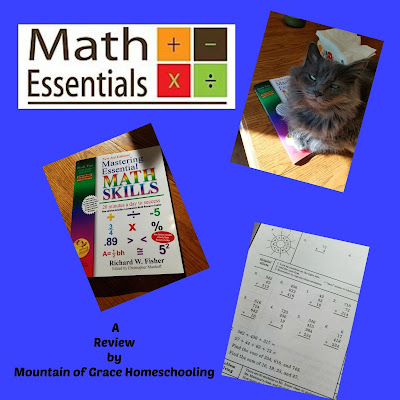 Mountain of Grace Homeschooling Review