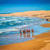 Camel riding at Port Stephens, NSW, Australia