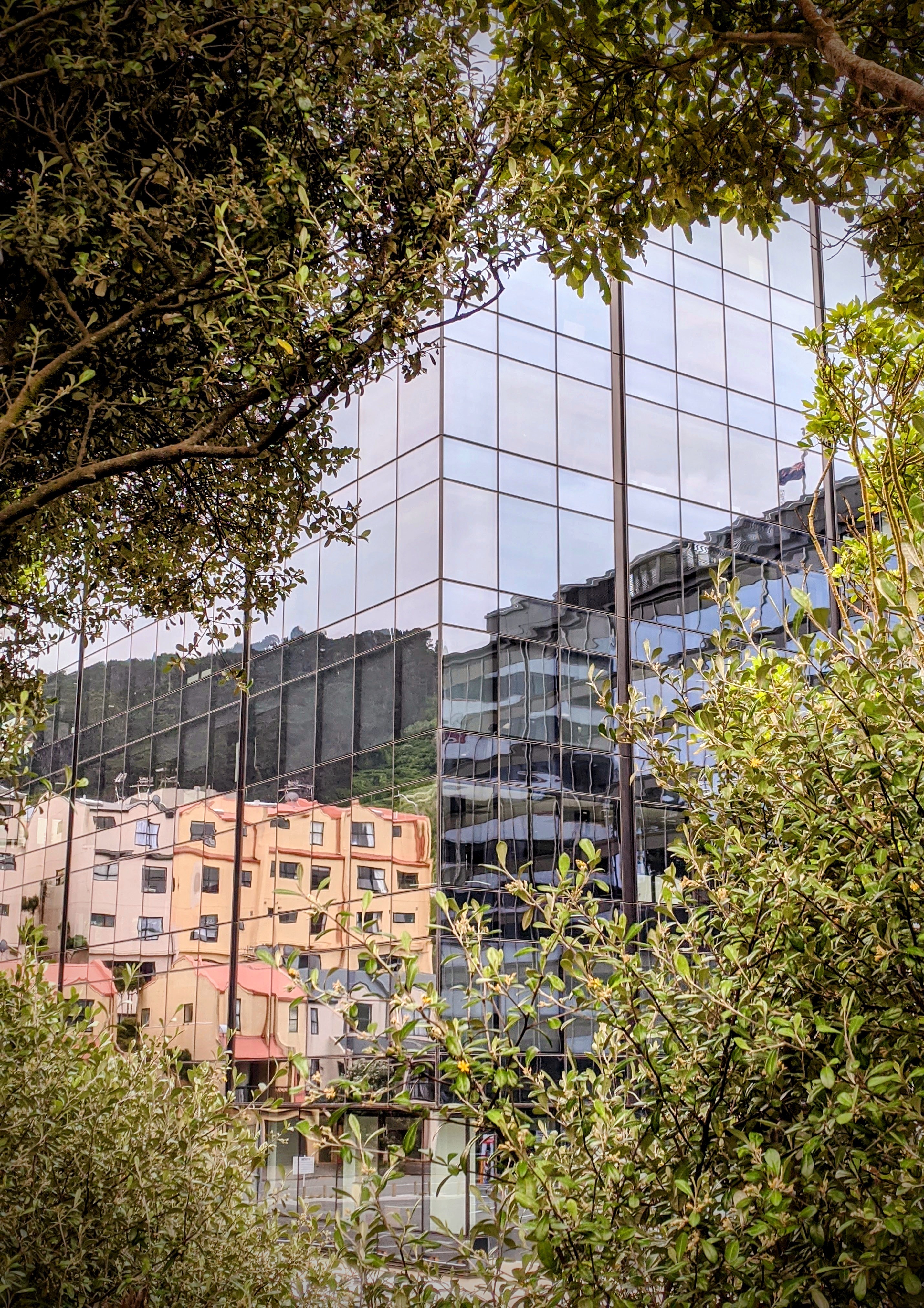 City reflection in building windows as seen through trees