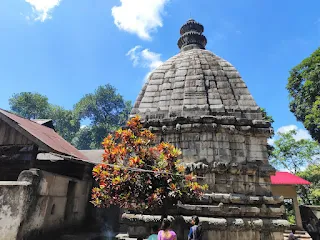 Sri kedar temple
