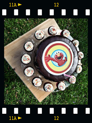 elmo chocolate mud cake & carrot cream cheese mini cakes