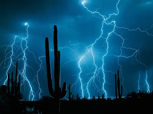 Stormy Weather, Saguaro Cactus
