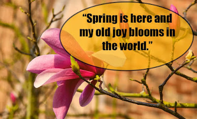 Spring Quotes - Quotes about Spring