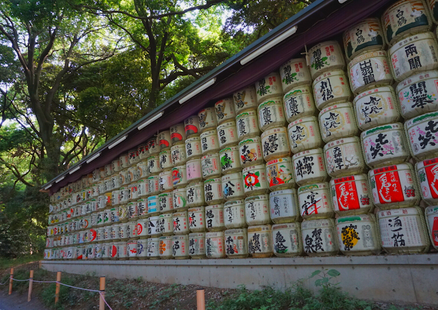 Meiji Jingu Tokyo Curitan Aqalili