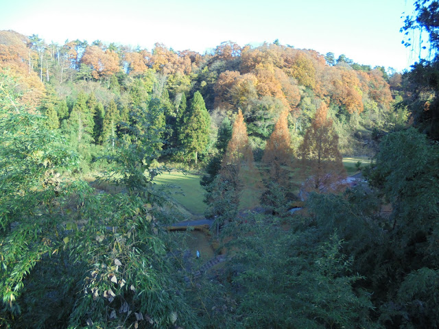 小林橋からの登る道途中から別所川渓流植物園を望む