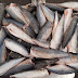 Frozen Sardine HGT Product Availability