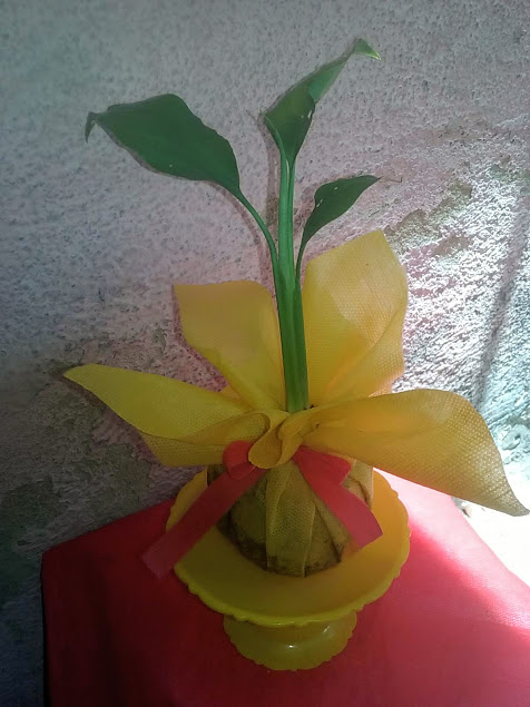 Planta ornamental, perene, purificadora do ar.     Decora com elegância casas e escritórios, varandas e jardins. 
