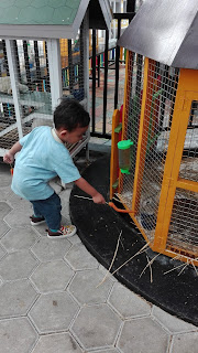 Rabbit Villa, Low Budget Bandung, Rabbit Town, Bandung