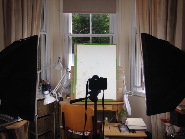 photographing botanical artwork