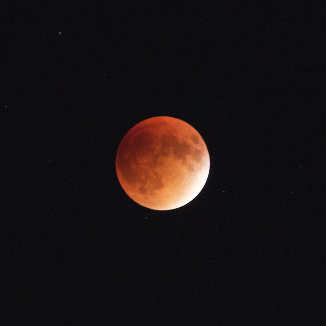 Tammy Sue Allen Photography. Super Moon Lunar Eclipse. September 27, 2015. Lansing, Michigan