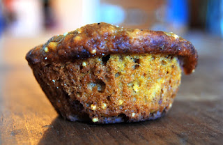 Cranberry Pumpkin Muffins