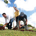 Reforestan con 16 maculís un tramo de la Avenida Líbano
