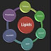 Klasifikasi dan Jenis-Jenis Lipid