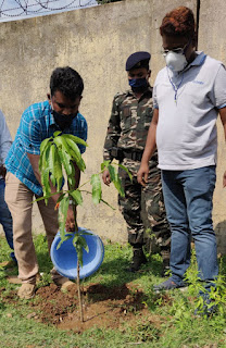 tree-planting-jamshedpur