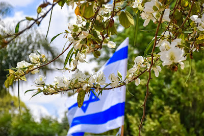 Photo of israels flag surrounded by trees