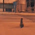 Ovaj pas zna kako se prelazi ulica