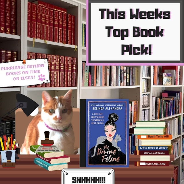 Amber's Book Reviews - What Are We Reading This Week #197 ©BionicBasil®  The Divine Feline