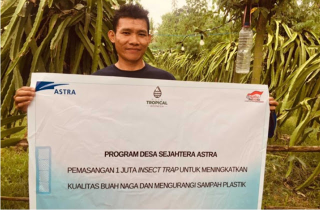 Menduniakan Buah Naga dari Timur Pulau Jawa