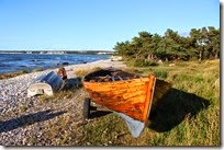 IMG_0690 IMG_0690
