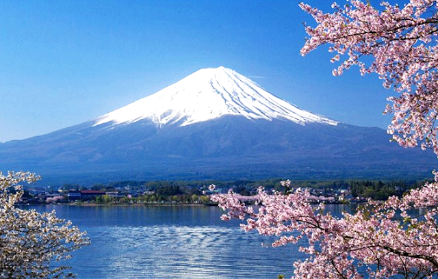 15 Trend Terbaru Lukisan  Bunga  Sakura  Dan  Gunung  Fuji  
