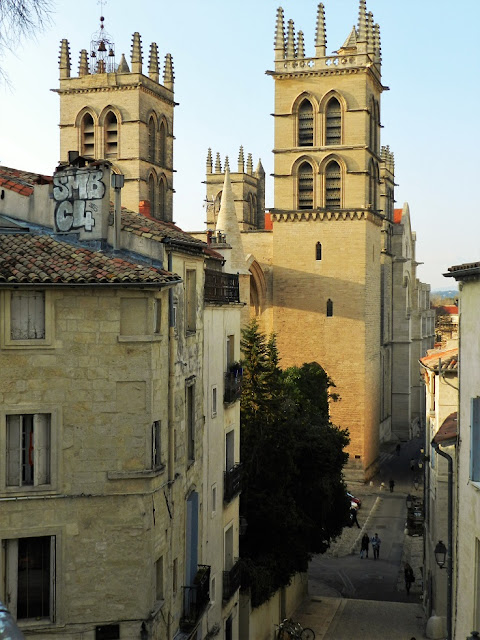 cattedrale montpellier francia