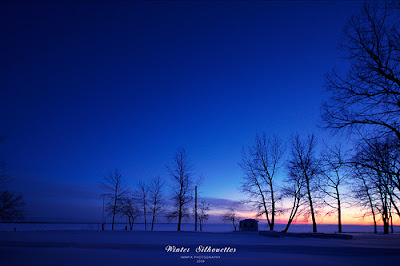 Winter Silhouettes