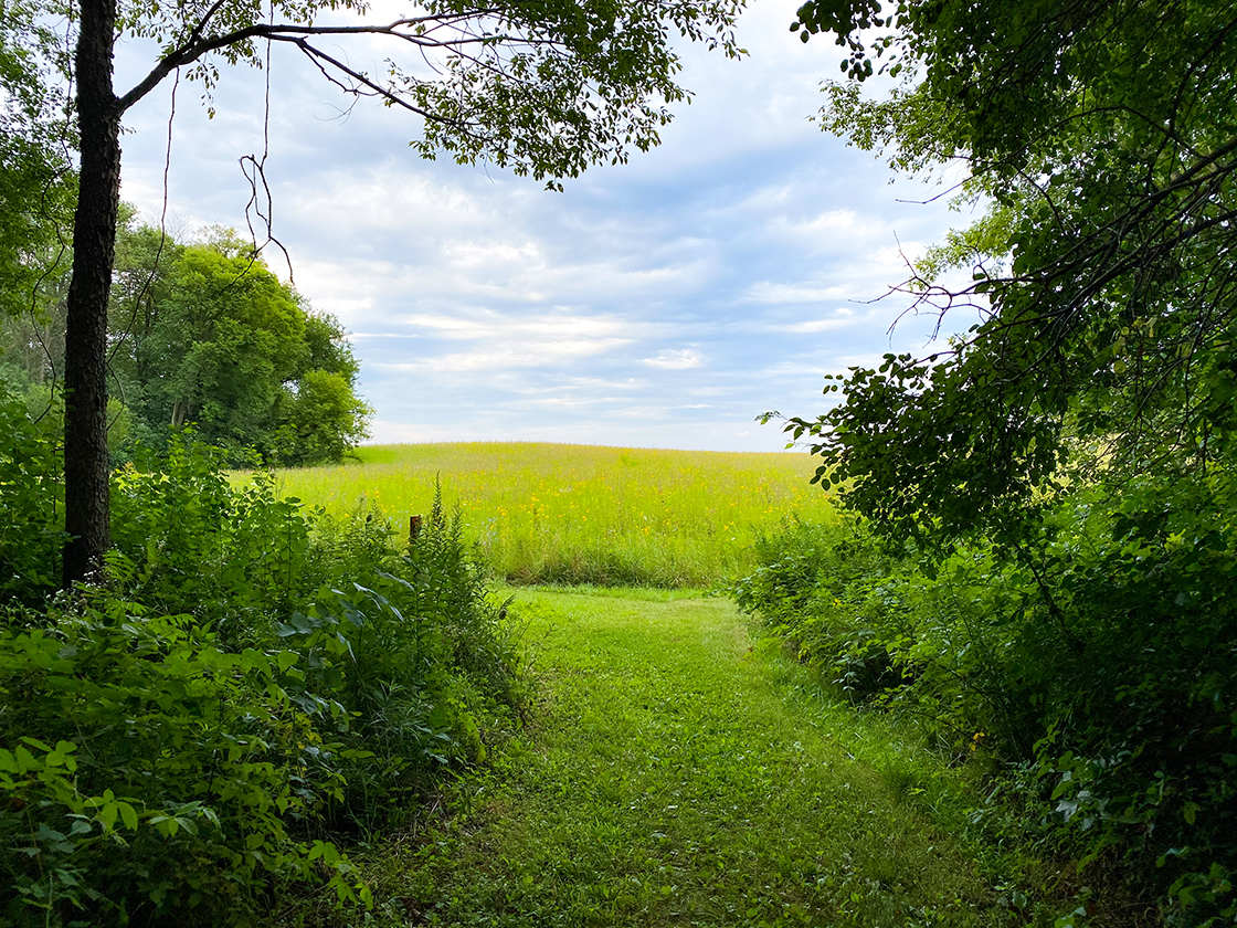 Along the trails at Merrimac Preserve