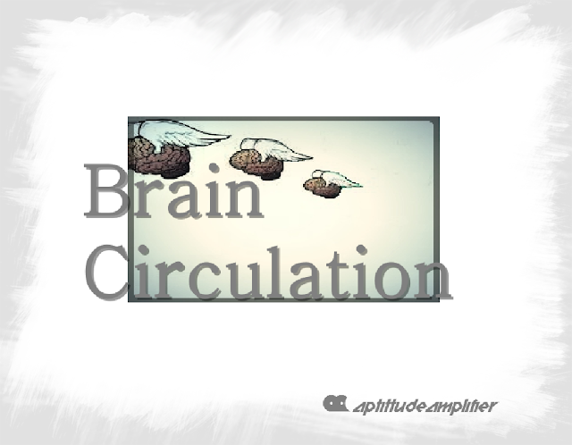 Brain Circulation Diaspora
