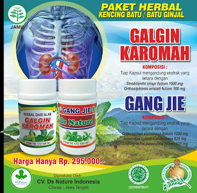 Obat alami gangguan ginjal