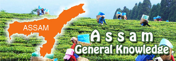 Assam General Knowledge (GK) Questions and Answers 2023