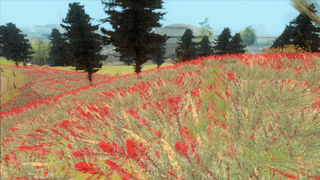 GTA San Andreas Dream Grass Pack