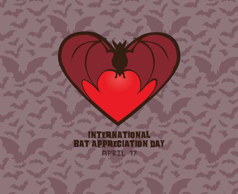 International Bat Appreciation Day Wishes Lovely Pics
