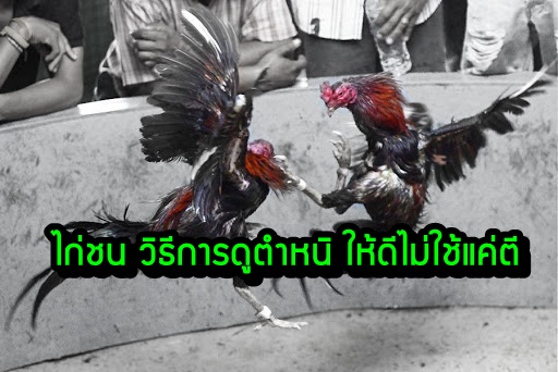 รูปภาพ