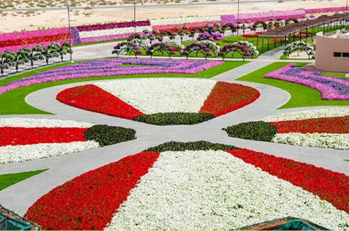 Indahnya Foto Taman Bunga Di Dubai  bigcendol