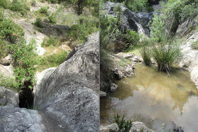 ROCA FORADADA - SALT DEL MISERI - FONDO DEL SETRILL - URBANITZACIÓ EL PRIORAT DE LA BISBAL DEL PENEDÈS, Salt del Miseri al Torrent del Setrill - La Bisbal del Penedès