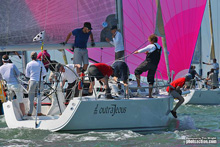 J/109s sailing in J/Cup