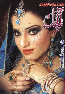 Aanchal Digest November 2013 Online Reading