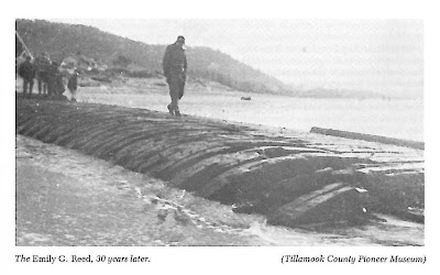 photo of the emily g.reed shipwreck in rockaway beach oregon