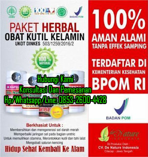 Obat Kutil Kelamin