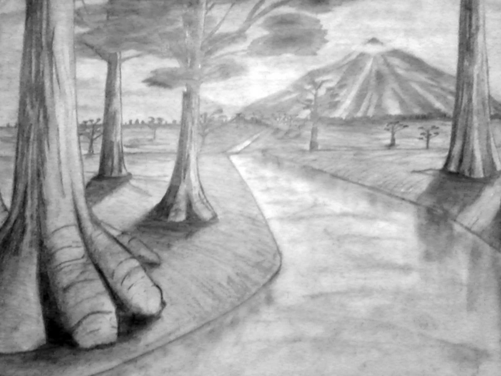 Sketsa Gambar Naturalisme Yang Mudah