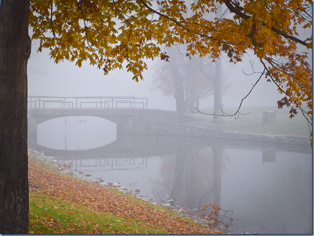 shelby park fall 08-5