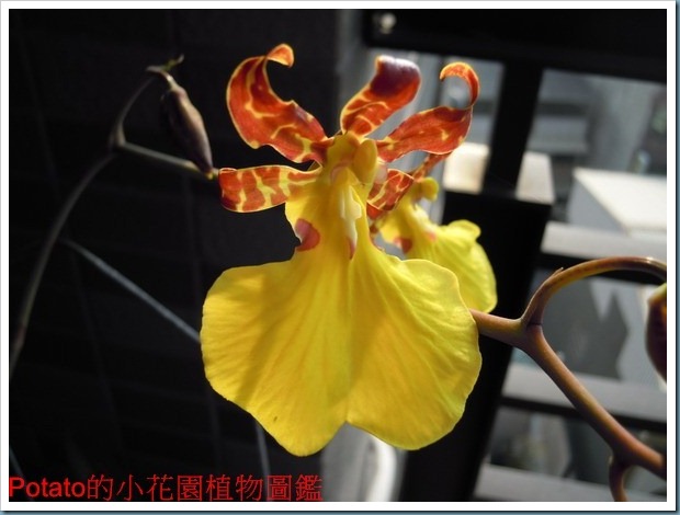 DSCN9539